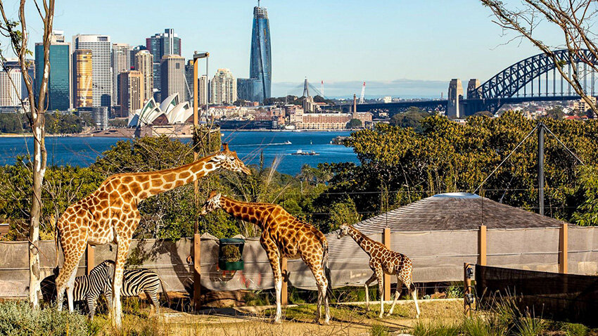 Taronga Zoo